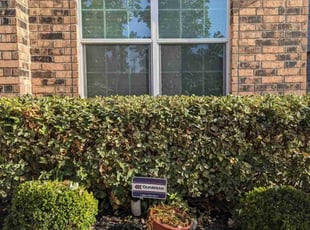 Nick A.'s Bush Trimming service result