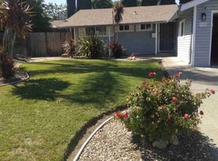 Oscar D.'s turf maintenance service result