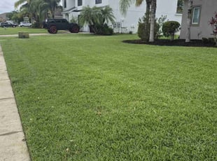 Lorisa M.'s turf care service result