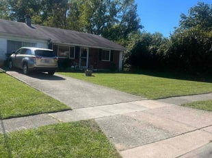 Lori F.'s yard service service result