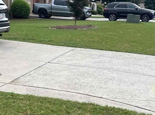 Sunny R.'s lawn care services service result