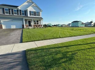 Jeff M.'s grass maintenance service result