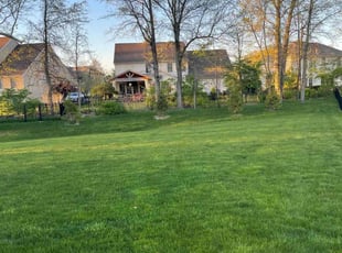 Mackenzie M.'s grass maintenance service result