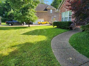 Andrea P.'s turf care service result