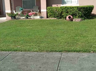 Charlotte L.'s Bush Trimming service result