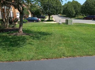 Stephanie E.'s lawn maintenance service result