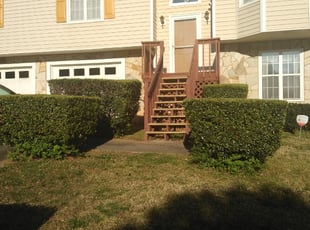 Li D.'s Bush Trimming service result