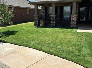 Patricia W.'s turf maintenance service result