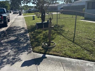 Gus R.'s grass maintenance service result