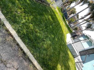 Ricky L.'s lawn care services service result