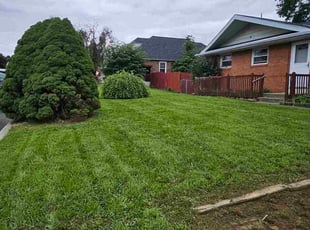 Michael W.'s yard care service result