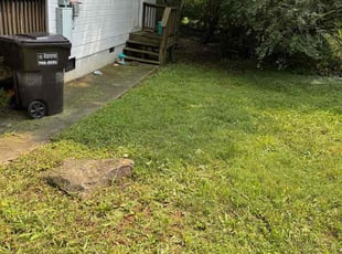 Irene M.'s turf maintenance service result