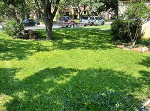 Pamela M.'s grass maintenance service result
