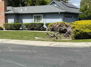 Reginold C.'s lawn maintenance service result