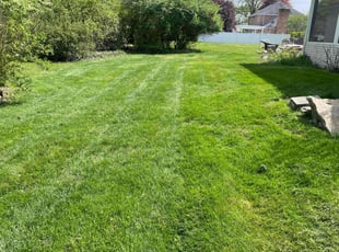 Patrice A.'s lawn care service result