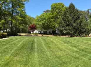 Fred E.'s lawn service service result