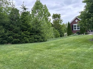 Darlene P.'s Long Grass Cleanup service result