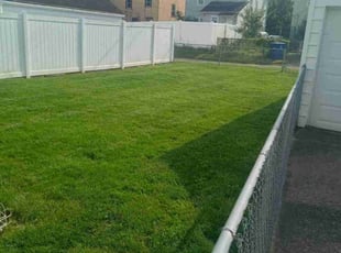 Bijay G.'s lawn care services service result