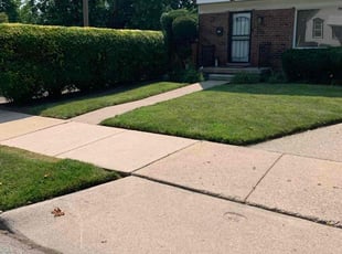 Bina H.'s lawn maintenance service result