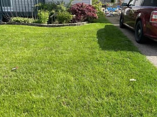 Jason C.'s Long Grass Cleanup service result