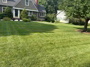 Thomas J.'s turf maintenance service result