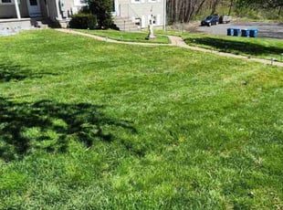 Demario R.'s lawn maintenance service result