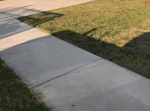 Judy M.'s grass cutting service result