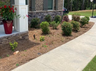 Terasina -.'s Bush Trimming service result