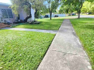 Centario L.'s turf care service result