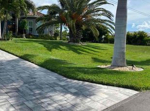 Chilma B.'s turf care service result