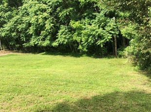 Nicole J.'s landscaping services service result