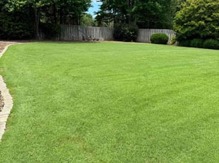 Takera M.'s lawn care services service result