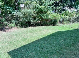 Terry H.'s grass maintenance service result