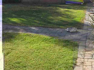 Danielle M.'s turf care service result