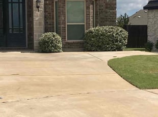 Cynthia H.'s Bush Trimming service result