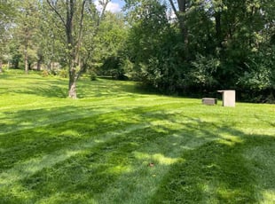 Lamar T.'s turf care service result
