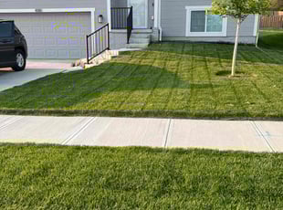 Peter K.'s turf maintenance service result