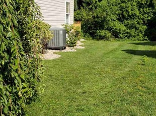Tricia S.'s lawn care services service result