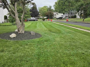 Rob B.'s lawn maintenance service result