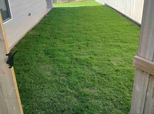 Diane E.'s grass cutting service result