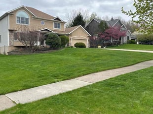 Cheryl C.'s yard maintenance service result