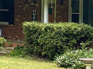 Kenneth F.'s Bush Trimming service result
