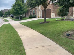 Justin L.'s turf care service result