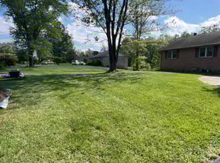 Rasheeda R.'s lawn maintenance service result