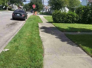 Debra M.'s grass maintenance service result