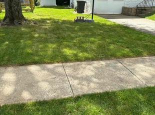Cynthia W.'s lawn service service result