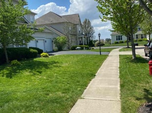 Gopal A.'s lawn maintenance service result