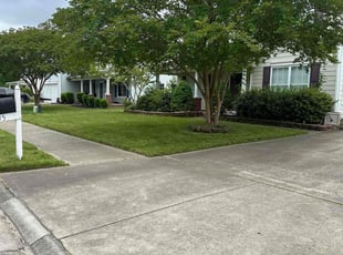Shantiqua R.'s turf care service result