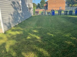 Amy P.'s grass cutting service result
