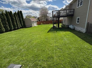 Michael G.'s grass cutting service result